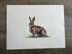 Illustratie haasje - Pastel op hot pressed papier, Ophalen of Verzenden, Nieuw, Minder dan 50 cm
