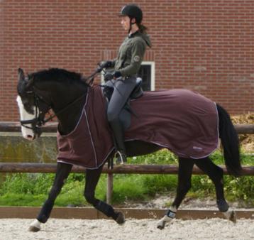 Uitrijdeken met los borststuk, fleece, maten 175 t/m 195 beschikbaar voor biedingen