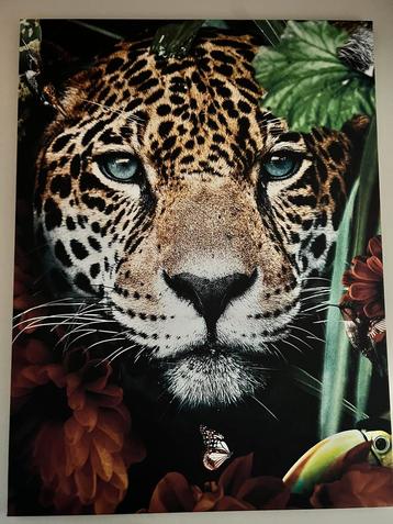 Canvas Schilderij 75x100cm beschikbaar voor biedingen