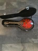 Te koop 3 x gitaren 1 electrische gitaar, Ophalen of Verzenden, Zo goed als nieuw, Klassieke of Spaanse gitaar