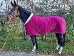 Showdeken Profi Rider Velvet burgundy 250 grams, Dieren en Toebehoren, Paarden en Pony's | Dekens en Dekjes, Nieuw, Ophalen of Verzenden