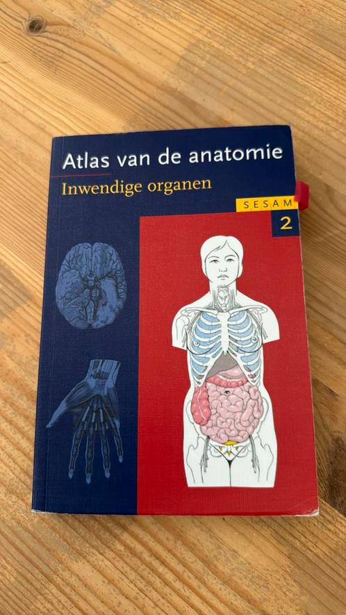 H. Fritsch - 2 inwendige organen, Boeken, Wetenschap, Zo goed als nieuw, Ophalen of Verzenden