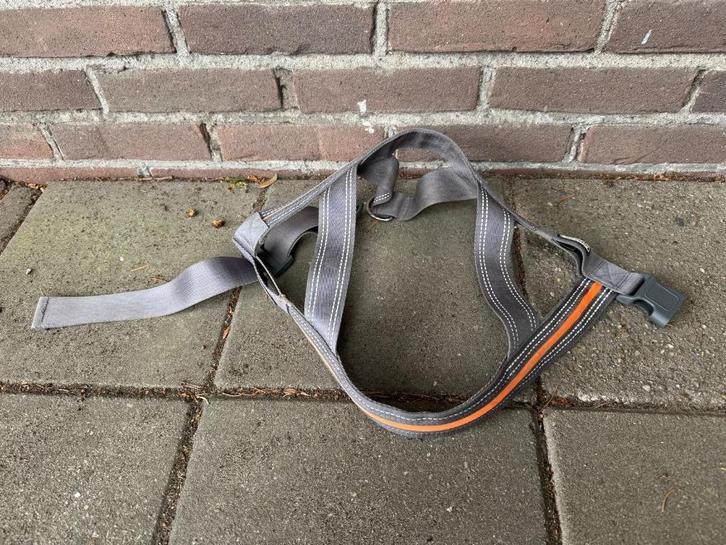 Hondentuigje, Dieren en Toebehoren, Hondenhalsbanden en Penningen, Gebruikt, Ophalen of Verzenden
