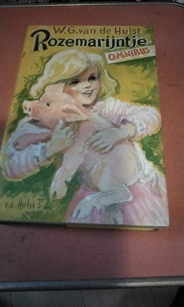 Rozemarijntje Omnibus - W.G. van de Hulst, Boeken, Kinderboeken | Jeugd | onder 10 jaar, Gelezen, Fictie algemeen, Ophalen of Verzenden
