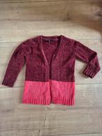 Heerlijk zacht vest! Maat 116, Ophalen of Verzenden, Zo goed als nieuw, Meisje, Trui of Vest