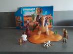Playmobil Egyptische Sfinx 4242, Ophalen of Verzenden, Gebruikt
