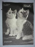 De Spiegel Christelijk Nationaal Weekblad nr. 49, 1954, Ophalen of Verzenden