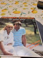 Onder de hemel kroatische bzn klassieker, Cd's en Dvd's, Vinyl | Pop, Ophalen, 1980 tot 2000, Zo goed als nieuw, Overige formaten