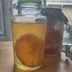Medium dikte en 18 cm  brede Jun scoby zwam voor 3 liter kom, Diversen, Levensmiddelen, Ophalen of Verzenden
