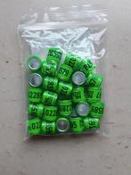 Duivenringen, Dieren en Toebehoren, Geslacht onbekend, Postduif