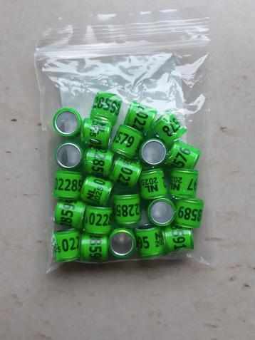 Duivenringen beschikbaar voor biedingen