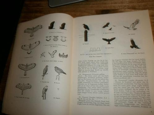 roofvogels tinbergen uitgave NJN met afbeeldingen, Boeken, Hobby en Vrije tijd, Nieuw, Ophalen of Verzenden