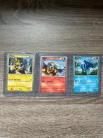 Pokemon Entei Raikou Suicune art set, Nieuw, Ophalen of Verzenden