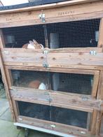 Mooie konijnen flat zonder konijnen 275 euro, Ophalen of Verzenden, 110 cm of meer, Hok, 90 cm of meer
