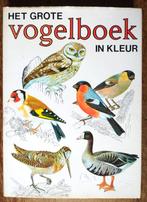 Het grote vogelboek, Ophalen of Verzenden, Gelezen