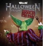 Walibi fright night 24 oktober, Tickets en Kaartjes, Eén persoon