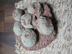 Hadrosaurus dinosaurus eieren nest, Verzamelen, Mineralen en Fossielen, Ophalen of Verzenden, Fossiel
