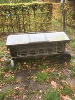 Creepfeeder, Dieren en Toebehoren, Schapen, Geiten en Varkens, Meerdere dieren, Schaap