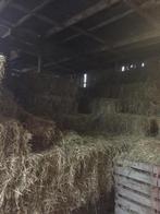 1e klas Paardenhooi, Dieren en Toebehoren, Dierenvoeding, Ophalen, Overige soorten