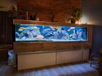 Groot aquarium van 550 liter incl toebehoren., Dieren en Toebehoren, Vissen | Aquaria en Toebehoren, Gebruikt, Ophalen, Gevuld zoetwateraquarium