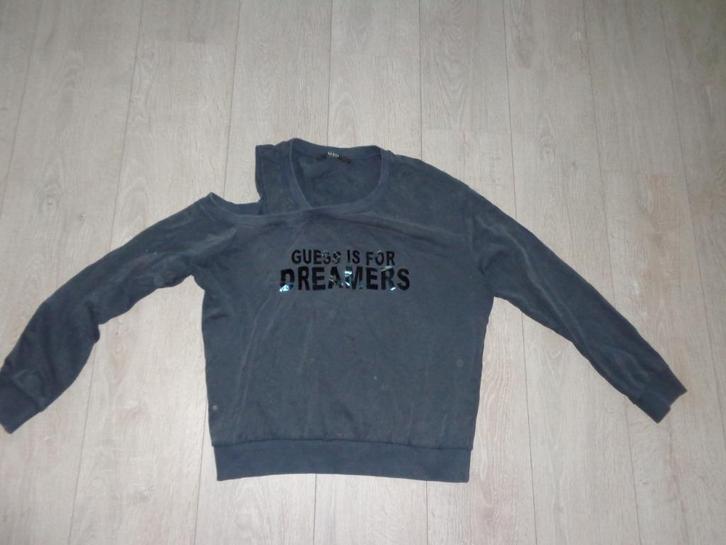 stoere grijze damestrui van Guess, maat L, Kleding | Dames, Truien en Vesten, Gedragen, Maat 42/44 (L), Grijs, Ophalen of Verzenden