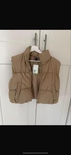 H&M Bodywarmer - Beige - Maat L, Kleding | Dames, Bodywarmers, Ophalen of Verzenden, Zo goed als nieuw, Maat 42/44 (L), Beige