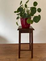Vintage plantentafeltje, Antiek en Kunst, Curiosa en Brocante, Ophalen