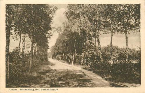 (379-202-043) Almen Het Berkenlaantje, Verzamelen, Ansichtkaarten | Nederland, Gelderland, Verzenden