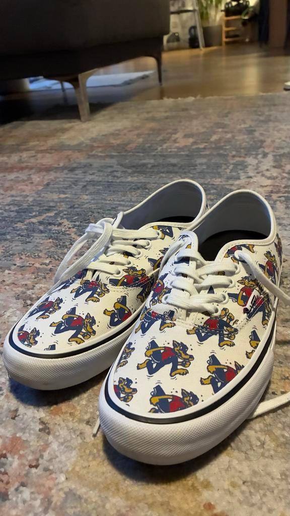 Nieuwe Vans Cartoon Skateboard Schoenen - Maat 42, Ophalen of Verzenden, Nieuw, Sneakers of Gympen