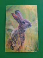 B/ Haas. 3D kaart, Verzenden, Ongelopen