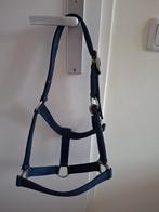 Blauw halster voor pony, Ophalen of Verzenden, Gebruikt, Recreatie
