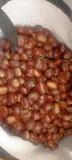 Kastanjes, Ophalen of Verzenden