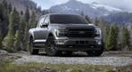 Ford USA F-150 2024 LARIAT 5.0 V8 (bj 2024), Auto's, Ford Usa, Origineel Nederlands, Te koop, Zilver of Grijs, 5 stoelen