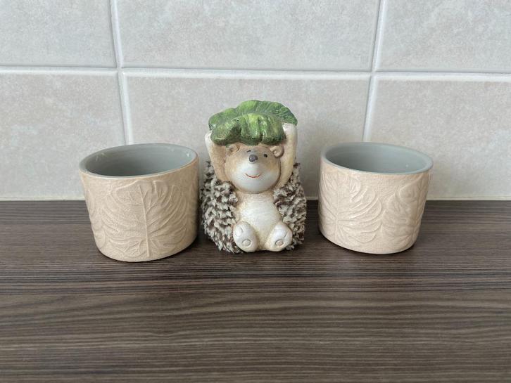 2 kleine plantenpotjes met leuke egel, Tuin en Terras, Bloempotten, Gebruikt, Binnen, Minder dan 40 cm, Minder dan 25 cm, Rond