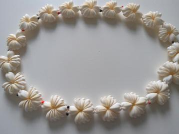 Lange vintage schelpenketting, Tahiti schelpen boho beschikbaar voor biedingen