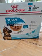 Royal canin puppy maxi natvoer, Dieren en Toebehoren, Dierenvoeding, Ophalen of Verzenden, Hond