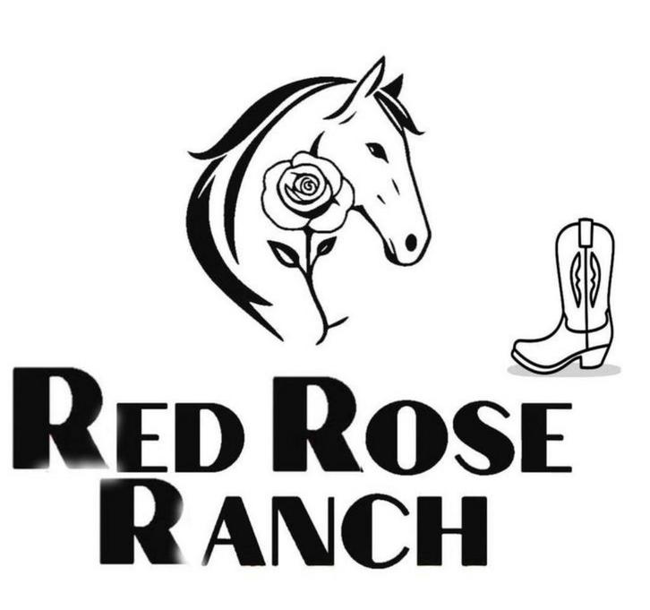 Bosstuk pensionstalling voor pony’s, Dieren en Toebehoren, Stalling en Weidegang, Weidegang, Toebehoren, 4 paarden of pony's of meer