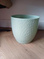 Bloempot mintgroen, Ophalen, Overige soorten, Minder dan 100 cm