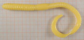 Wormen, Slugs en lange twisters beschikbaar voor biedingen