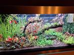 Te koop aquarium highline 300, Dieren en Toebehoren, Vissen | Aquaria en Toebehoren, Ophalen, Zo goed als nieuw, Leeg aquarium
