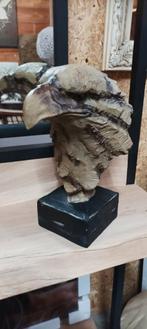 Mooi adelaar beeld, Ophalen of Verzenden, Zo goed als nieuw, Dier