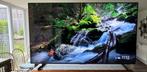 TCL 98x955 98 inch, LED, 120 Hz, Zo goed als nieuw, 100 cm of meer