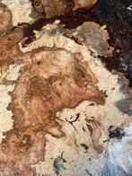 Zeldzame Esdoorn Burl Platen - Pracht Exemplaar!, Ophalen, Nieuw, 200 tot 250 cm, Plank