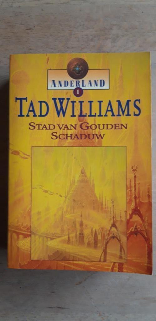 Fantasy - Tad Williams, Boeken, Fantasy, Zo goed als nieuw, Ophalen of Verzenden