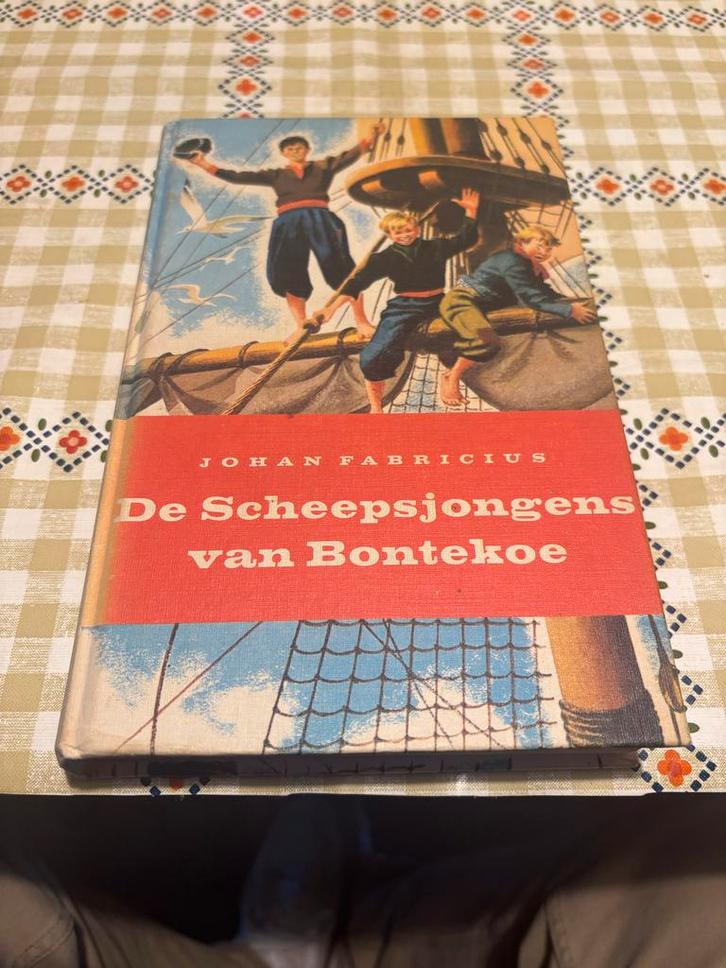 De Scheepsjongens van Bontekoe - Johan Fabricius, Boeken, Chicklit, Gelezen, Ophalen of Verzenden