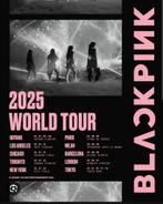 4 tickets voor BlackPink 2025 world tour Paris te koop, Drie personen of meer, Augustus