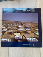 Pink Floyd Momentary lapae of reason, Cd's en Dvd's, Ophalen of Verzenden, Zo goed als nieuw, 12 inch, Poprock