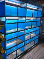 2x aquariumstelling, Dieren en Toebehoren, Vissen | Aquaria en Toebehoren, Ophalen, Zo goed als nieuw, Leeg aquarium, Nvt