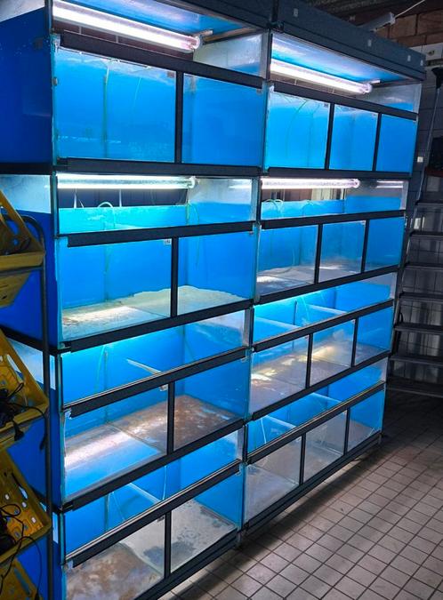 2x aquariumstelling, Dieren en Toebehoren, Vissen | Aquaria en Toebehoren, Zo goed als nieuw, Leeg aquarium, Ophalen