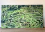 Rijstvelden Bali, foto op canvas 160x90cm, Ophalen, Oorspronkelijke maker, 125 cm of meer, Zo goed als nieuw
